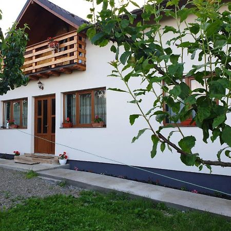 Pensiunea Ilea Ieud Zewnętrze zdjęcie