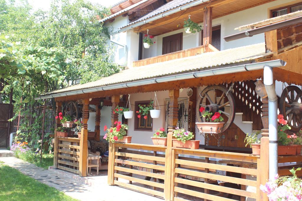 Pensiunea Ilea Ieud Zewnętrze zdjęcie