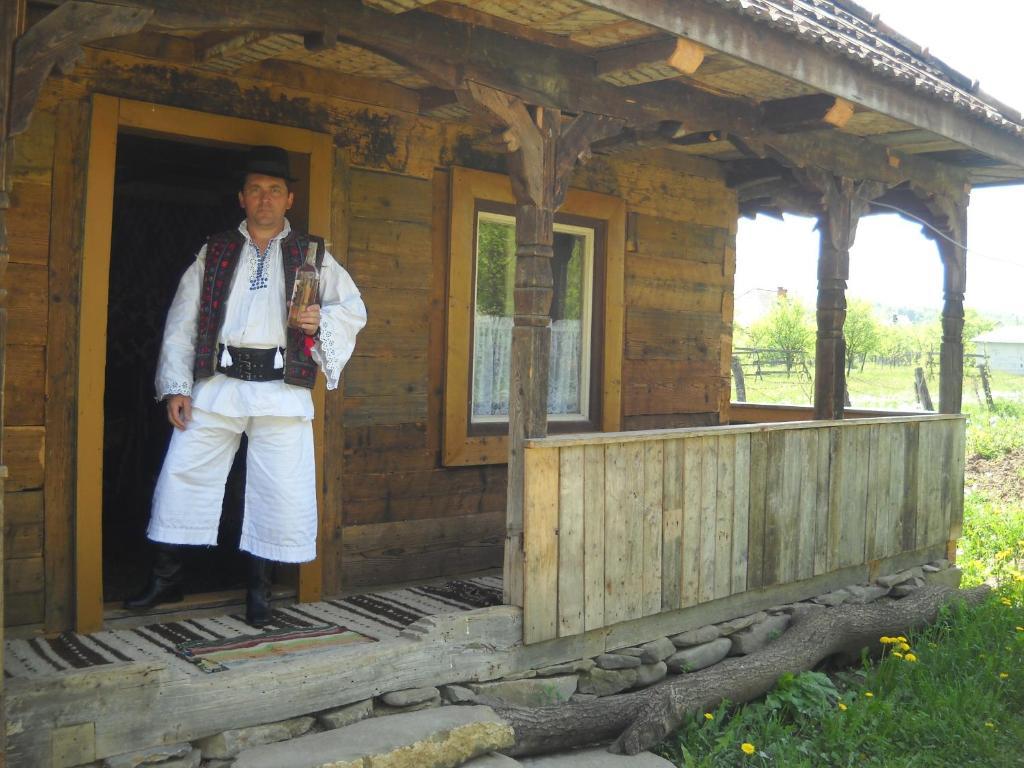 Pensiunea Ilea Ieud Zewnętrze zdjęcie